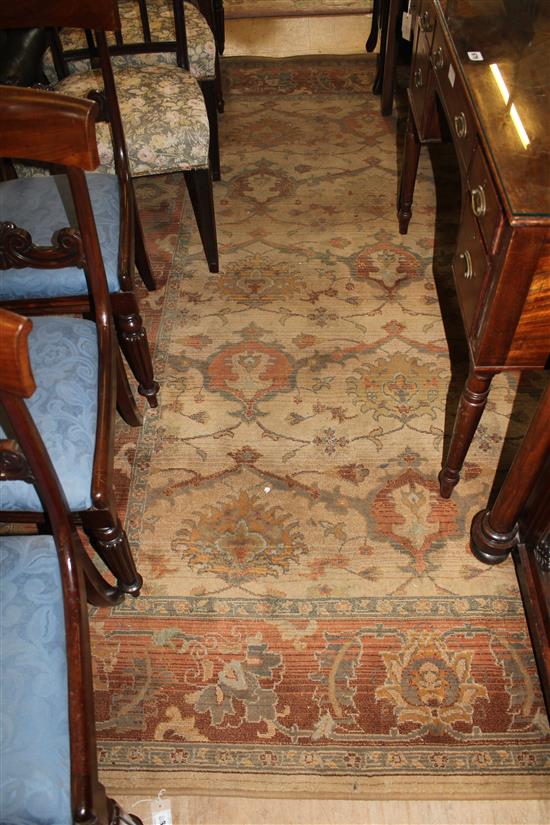 Large carpet(-)